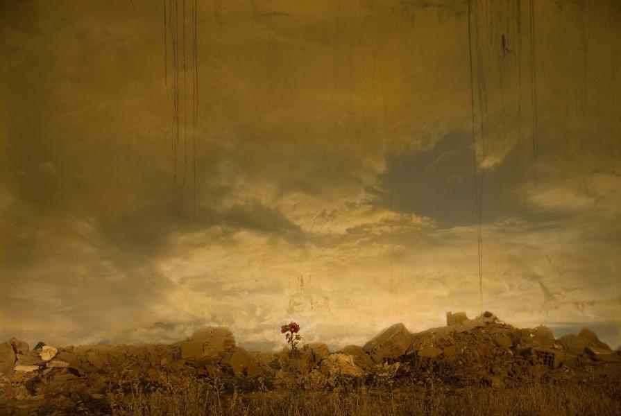 The Quest for the Blue Flower II The Quest for the Blue Flower II