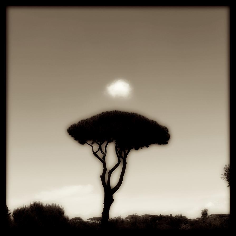 black and white 4 - photography by Augusto De Luca