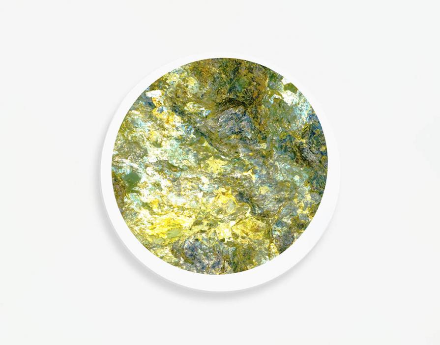 Volevo soltanto dipingere 