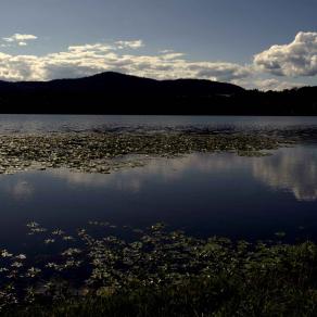SUL  FINIRE  DELL'ESTATE 