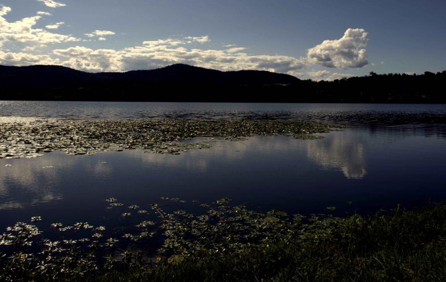 SUL  FINIRE  DELL'ESTATE 