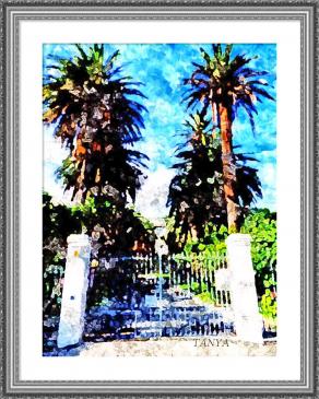 HO AMATO LE STELLE TROPPO PROFONDAMENTE PER AVERE PAURA DELLA NOTTE !!!