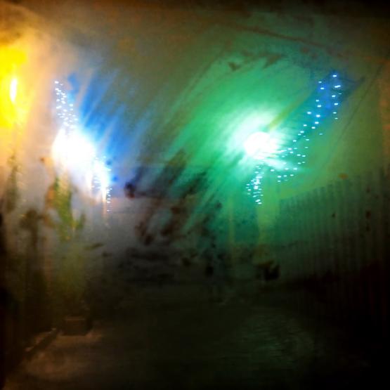 Ciò che mi è permesso di vedere adesso 