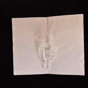 white book5 white book5