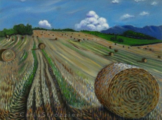 Campi di Fieno Campi di Fieno