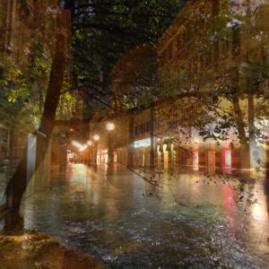 A Walk Through Remembered Places 4