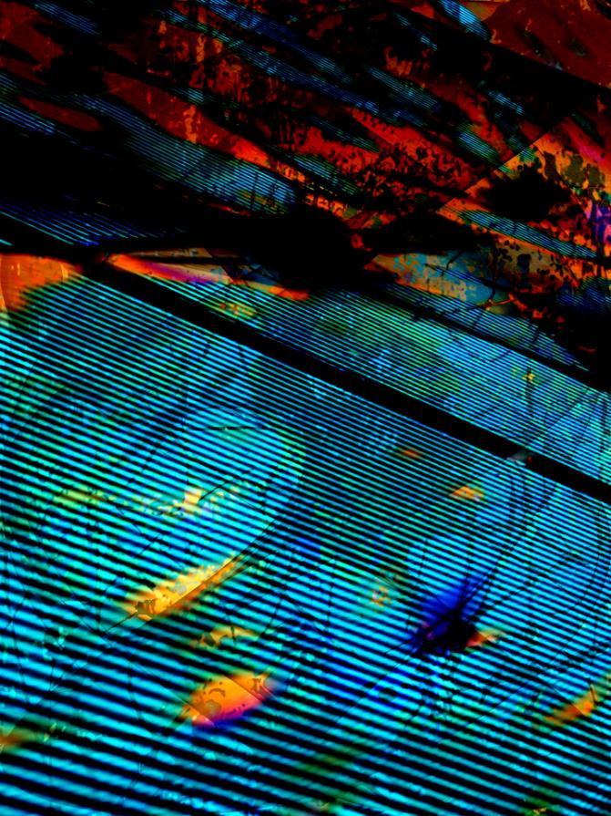 Life is an experience 