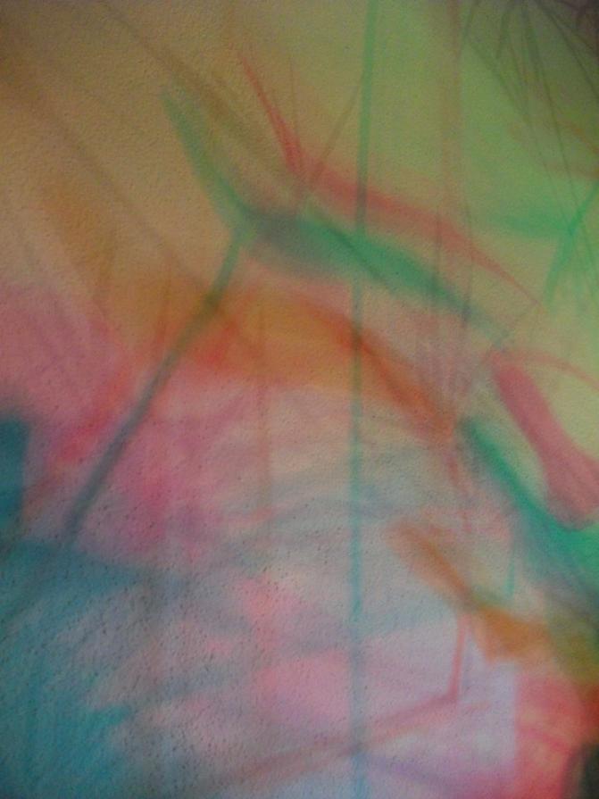 I colori della biodiversità -2015