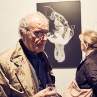 <a href = "_template/minisiti/_files/foto_in16/2016_CELESTE 67.jpg">Download</a> Click to enlarge