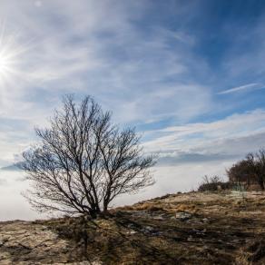 La preda ed Bismantova 