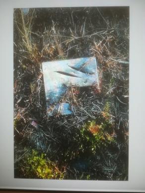 C'era Lucio nel letto del fiume La Parma. 