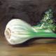 Fenchel 