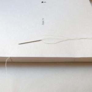 Letizia Ardillo e Yarona Pinhas -Visioni-