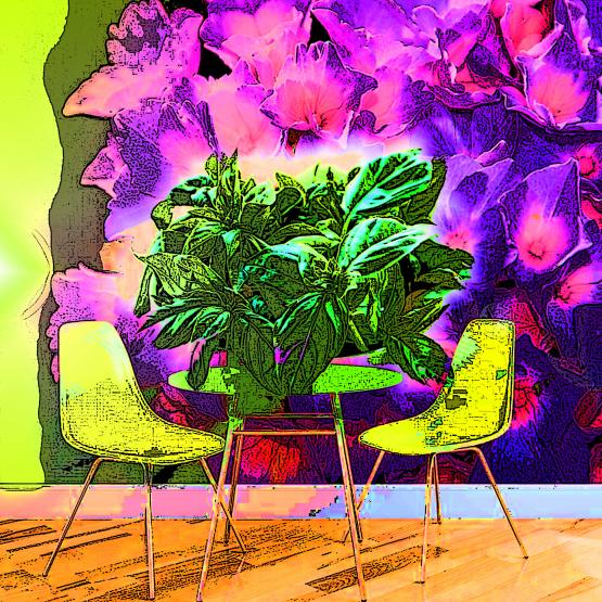 Il mio basilico mi saluta mandandomi il suo straordinario profumo...!!! Il mio basilico mi saluta mandandomi il suo straordinario profumo...!!!