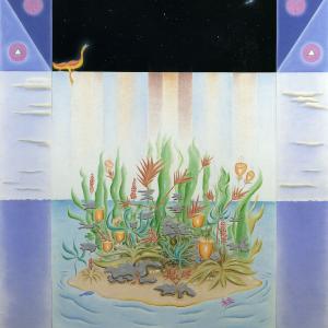 I neri stellati di Piero Boni