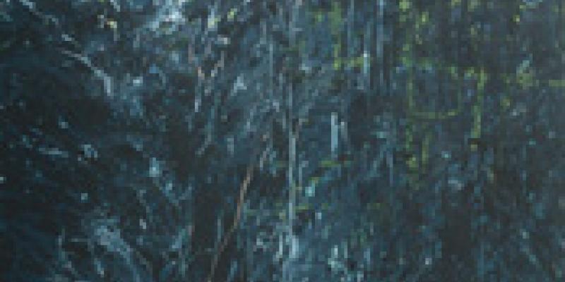 KRISTINA BREITENBACH - new member of BIENNALE AUSTRIA association