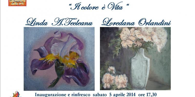 "Il colore è Vita" "Il colore è Vita"