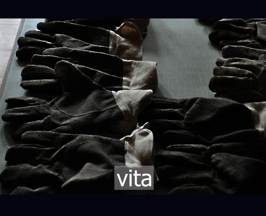 vita / 2011