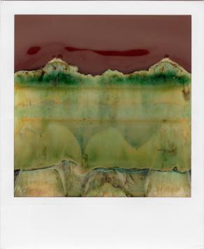 Ruined Polaroid #19