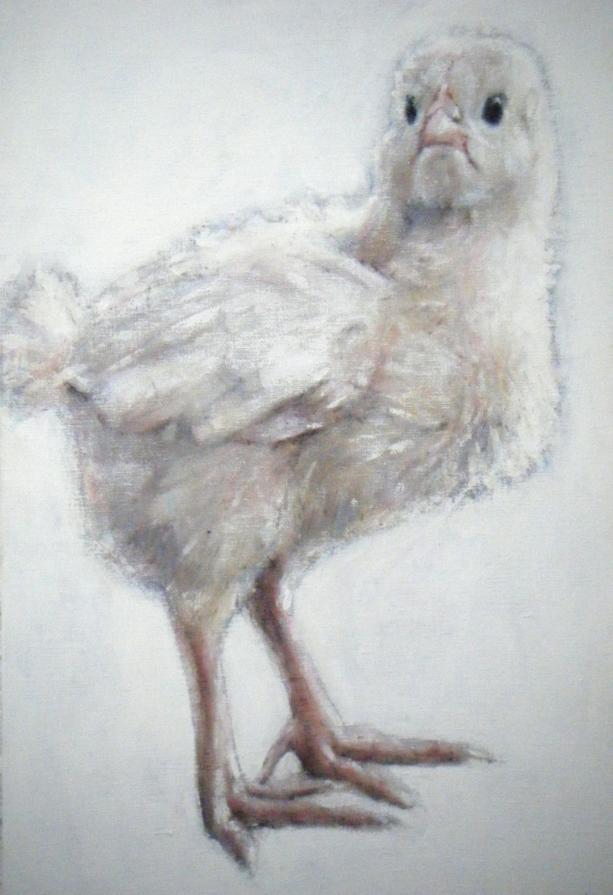 Chick