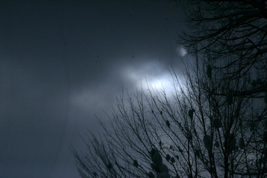 battiti_08 battiti_08