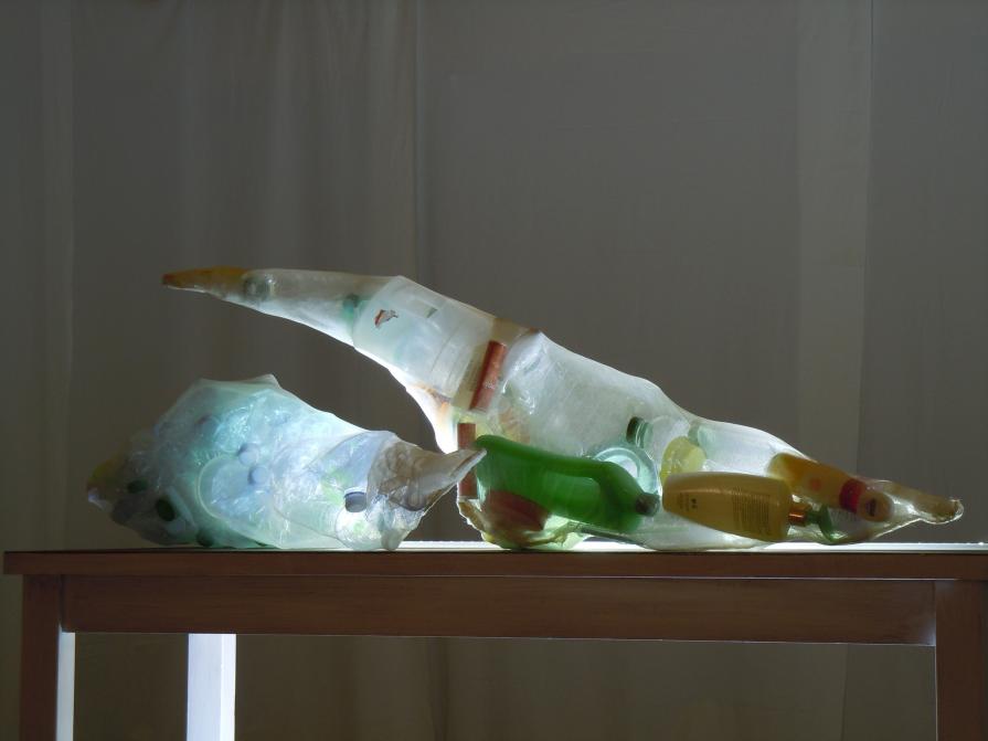 ISOLE PaolaTrashVortex_raccolta differenziata 2012/2013