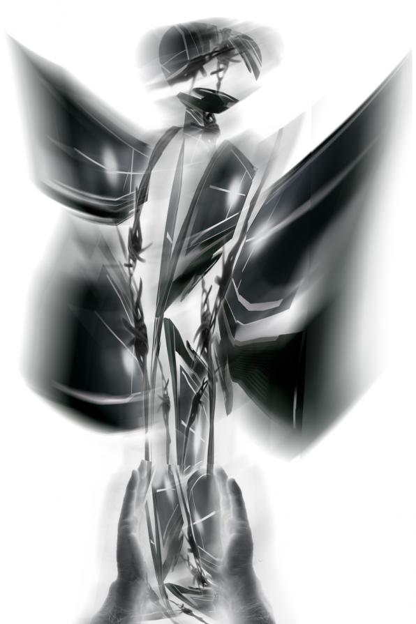 che noia che barba che noia che barba.