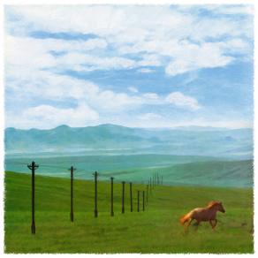 Vicini per chilometri