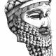 Studio - Testa di Sargon