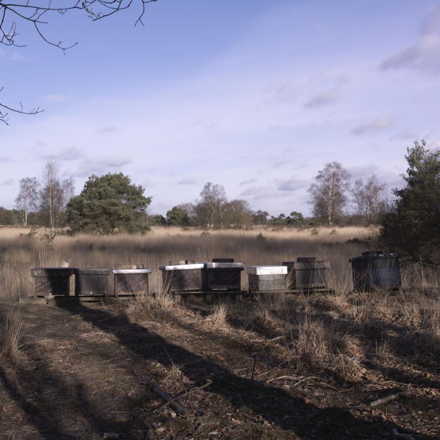 Standing strong together