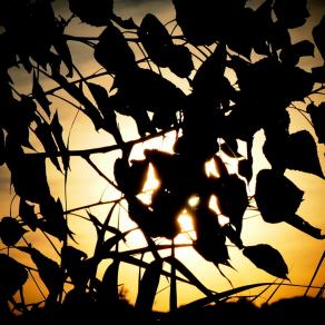 Quell'istante che non dimenticherò 