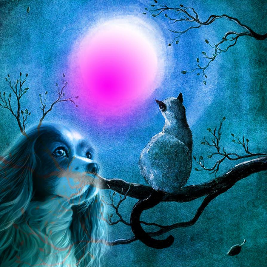 Ad una persona speciale, dal profondo del mio cuore, arriva un augurio speciale: Buon compleanno cara Nury!!!!