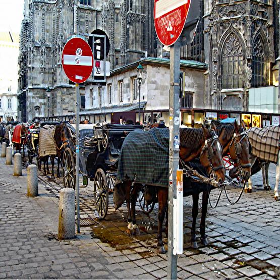 ...I VIAGGI DI TANYA (78)... ...I VIAGGI DI TANYA (78)...