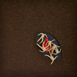 Fossa comune Fossa comune