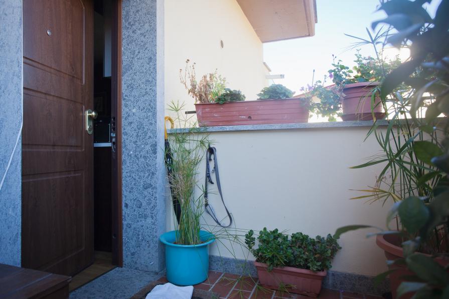 Domestic Animals: Front Terrace