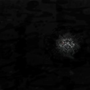 'Life on earth is disappearing fast for our closest relative'