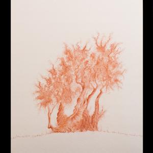 a U L I V O o f R 7 ®