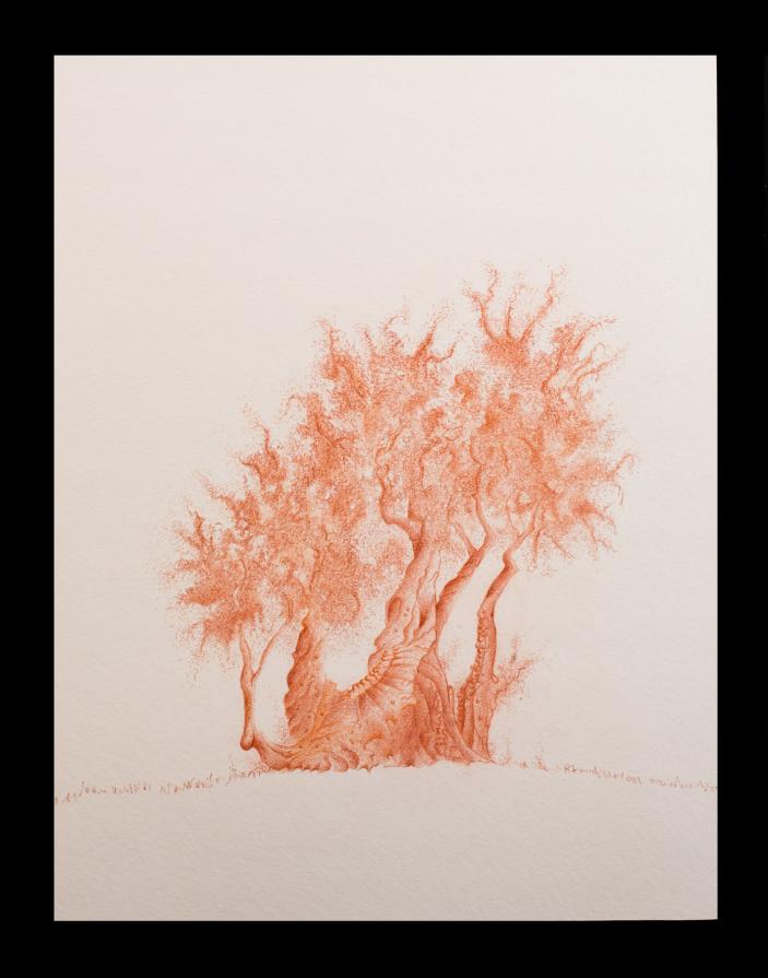 a U L I V O o f R 7 ®