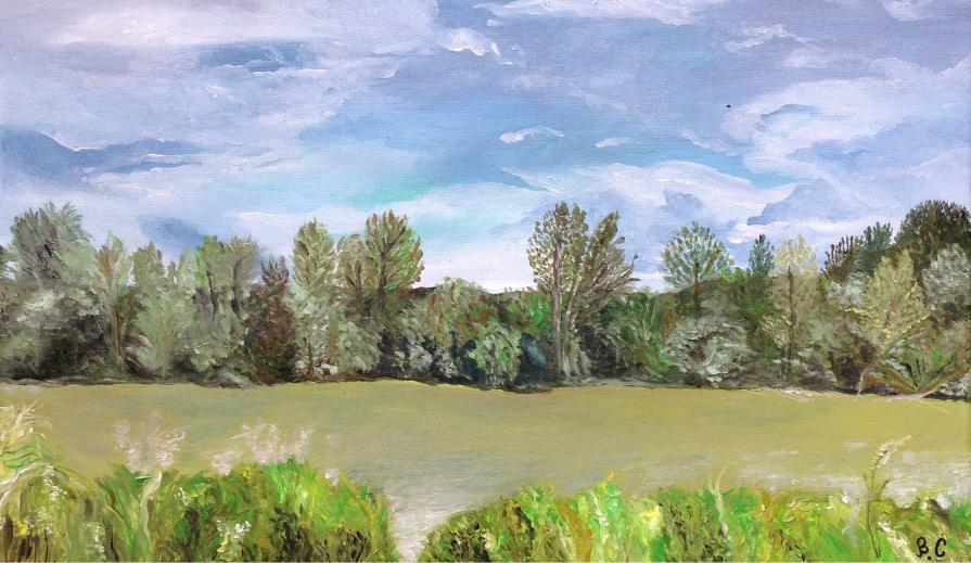 Fiume Arno - veduta da Uliveto Terme (Pi)