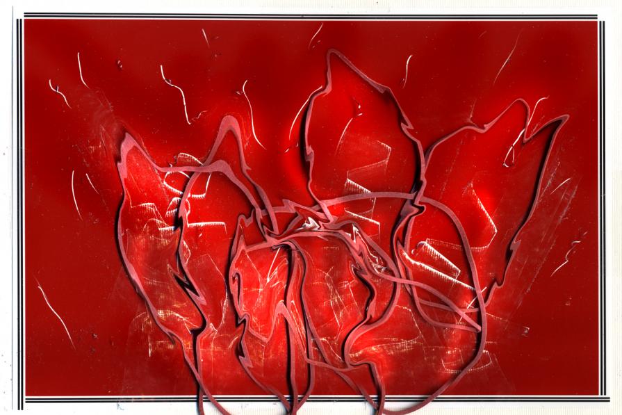 arde l'elasticocromia.