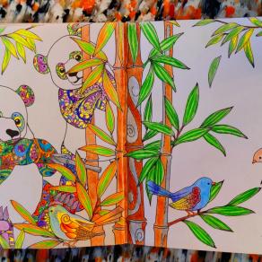 Magical GARDEN...!!!