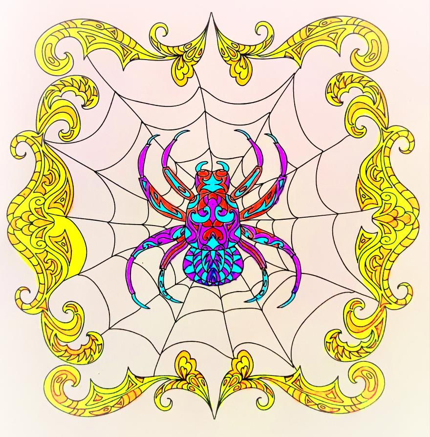 Il rumore del vento faceva oscillare la ragnatela.....