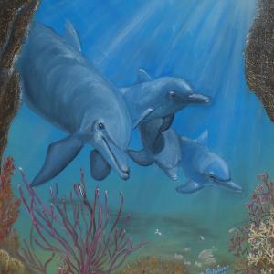 Lacco Ameno Città d'Arte e del verde