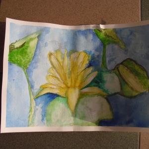 Corsi di disegno a matita su carta e olio su tela