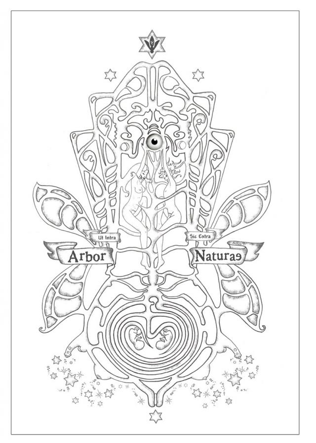 Sexual Tree of Nature Sexual Tree of Nature