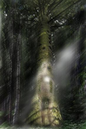 Il sentiero dei Giganti..