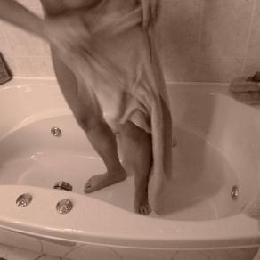 THE BATHROOM, 27-12-2012