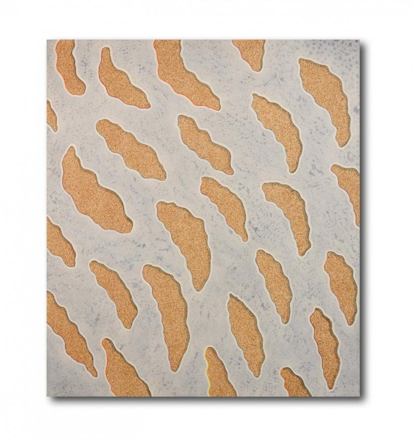 American Coastline #5