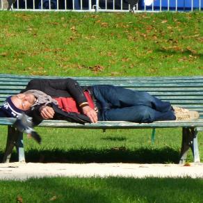 Une place au soleil !