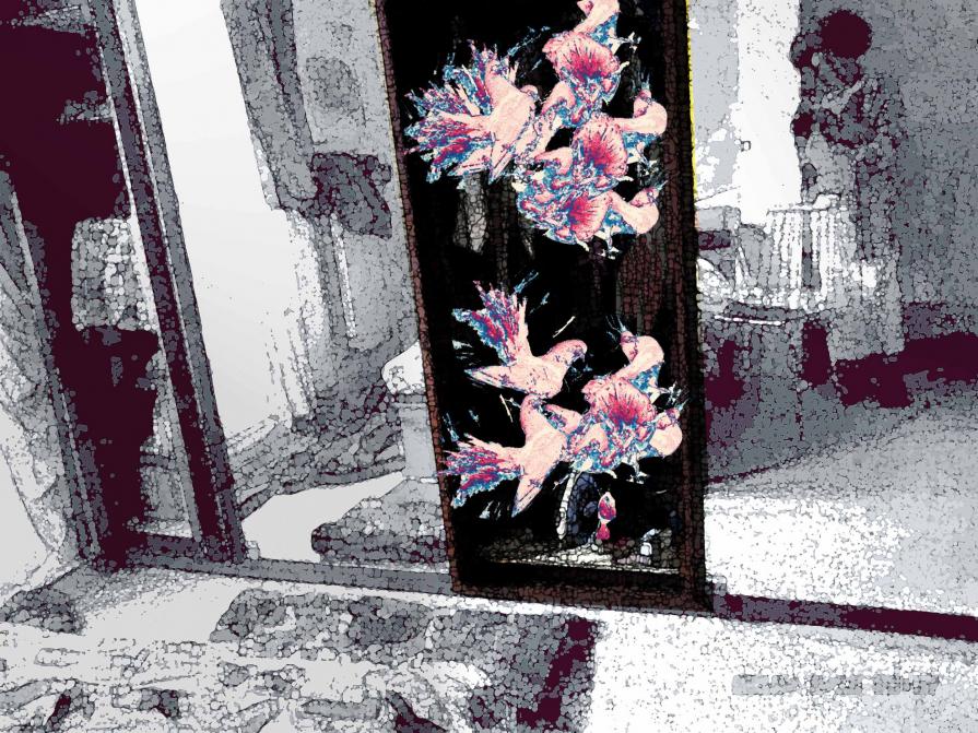 UN Plenary Assembly, UNO Vollversammlung 